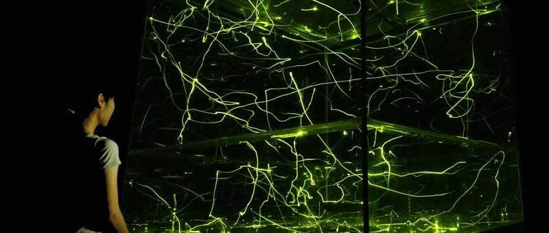 🦋 아다치구 생물원 (아다치쿠 세이부츠엔) 이미지 9